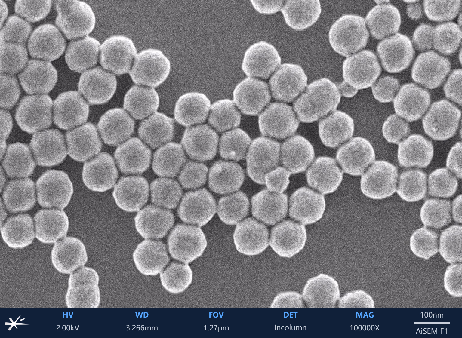 Fe<sub>3</sub>O<sub>4</sub>磁性微球