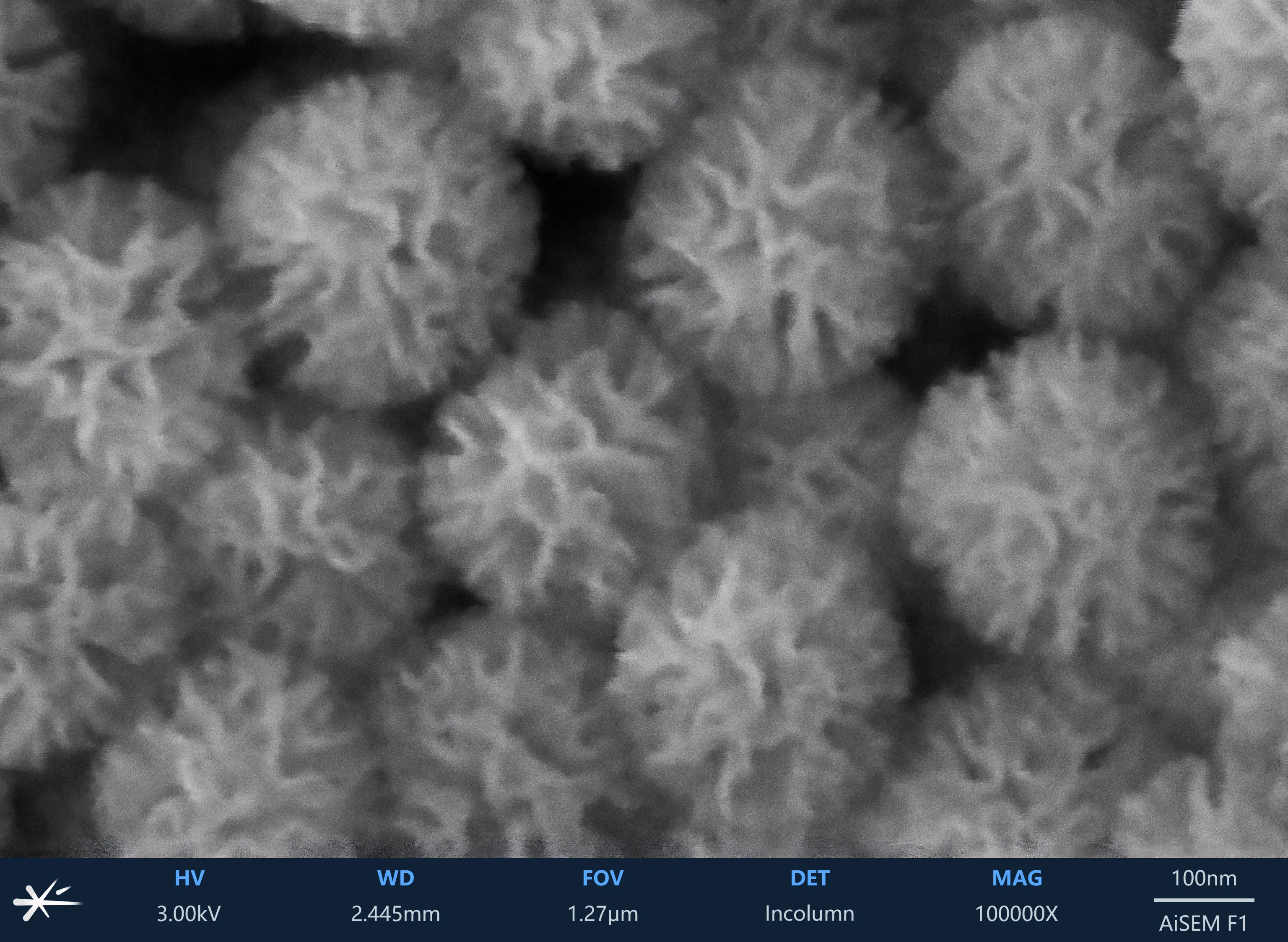 树枝SiO<sub>2</sub>微球